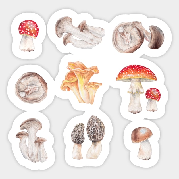 Many mushrooms Sticker by wanderinglaur